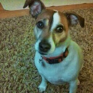 Meet your Posher, Devon